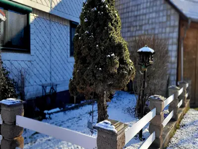 GardenWinter