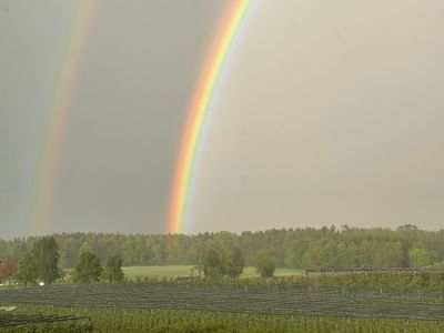 Regenbogen vor den Fenstern