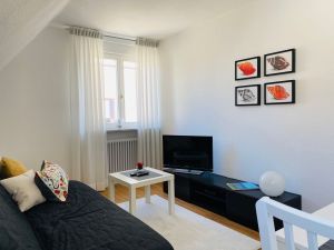 23982082-Ferienwohnung-3-Friedrichshafen-300x225-3