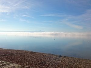 Morgennebel auf dem Bodensee