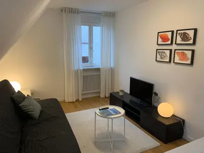 Ferienwohnung für 3 Personen (32 m²) in Friedrichshafen 3/10