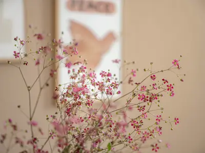 Ferienwohnung für 4 Personen (58 m²) in Friedrichshafen 4/10