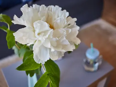 Ferienwohnung für 5 Personen (90 m²) in Friedrichshafen 7/10