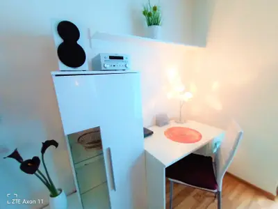 Ferienwohnung für 3 Personen (48 m²) in Friedrichshafen 10/10