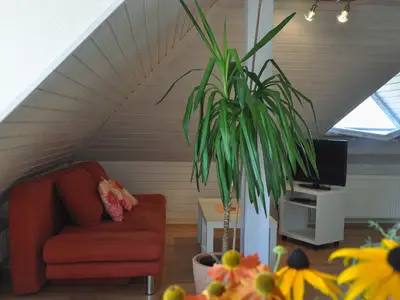 Ferienwohnung für 2 Personen (42 m²) in Friedrichshafen 7/10