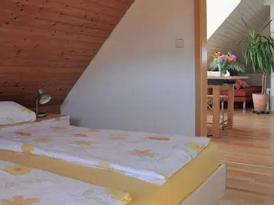 Ferienwohnung für 2 Personen (42 m²) in Friedrichshafen 8/10