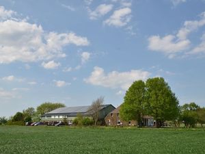 Ferienwohnung für 4 Personen (50 m²) in Friedrichskoog