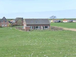 Ferienwohnung für 4 Personen (65 m²) in Friedrichskoog