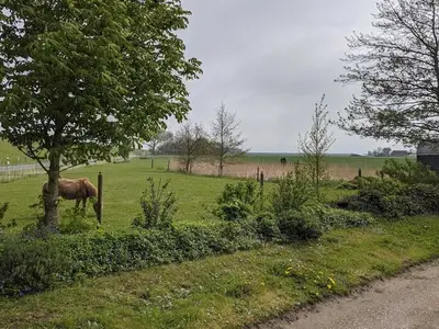 Ferienwohnung für 2 Personen (48 m²) in Friedrichskoog 5/10