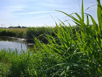 Ferienwohnung für 5 Personen in Friedrichskoog 7/10