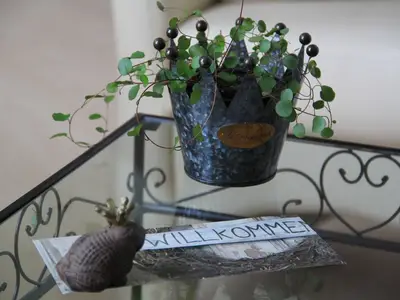 Ferienwohnung für 4 Personen (70 m²) in Friedrichskoog 2/10