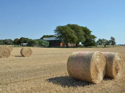Ferienwohnung für 6 Personen (70 m²) in Friedrichskoog 5/10