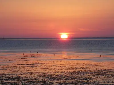Ferienwohnung für 2 Personen (32 m²) in Friedrichskoog 3/8