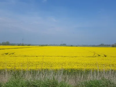 Umgebung 3