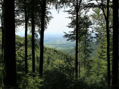 Ferienwohnung für 2 Personen (60 m²) in Friesenheim (Baden-Württemberg) 9/10