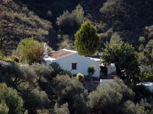 23058299-Ferienwohnung-4-Frigiliana-300x225-4