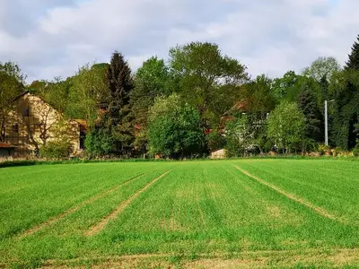Ferienwohnung für 7 Personen (80 m²) in Fritzlar 3/10