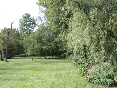 Ferienwohnung für 7 Personen (80 m²) in Fritzlar 8/10
