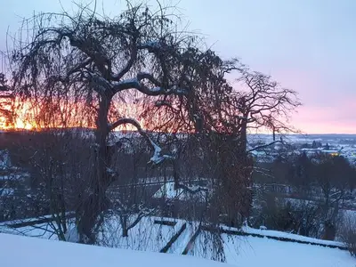 Ferienwohnung für 5 Personen (70 m²) in Fritzlar 2/10