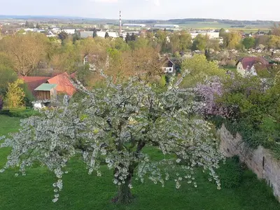 Ferienwohnung für 5 Personen (70 m²) in Fritzlar 3/10