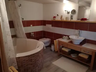 Ferienwohnung für 4 Personen (95 m²) in Fröhnd 7/10