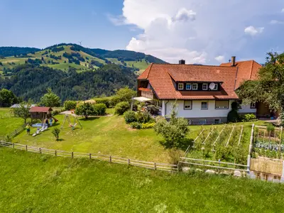 Ferienwohnung für 4 Personen (58 m²) in Fröhnd 9/10
