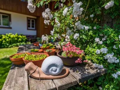 Ferienwohnung für 4 Personen (58 m²) in Fröhnd 10/10