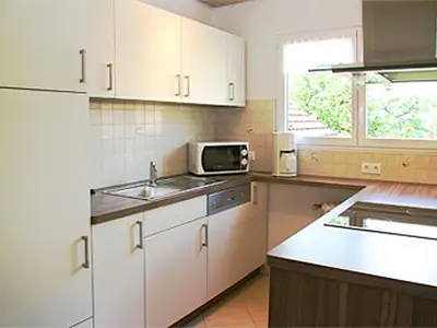Ferienwohnung für 4 Personen (70 m²) in Fröhnd 7/10