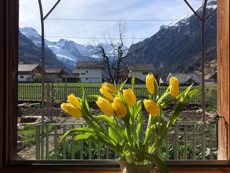 Aussicht Terrasse