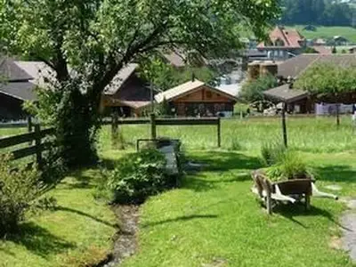 Bild 7