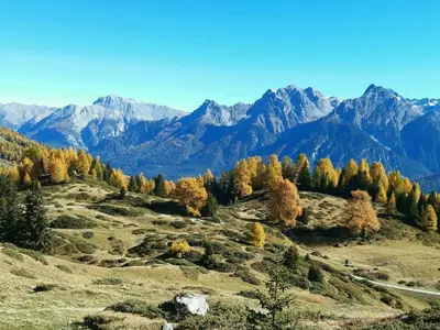 Bild 22