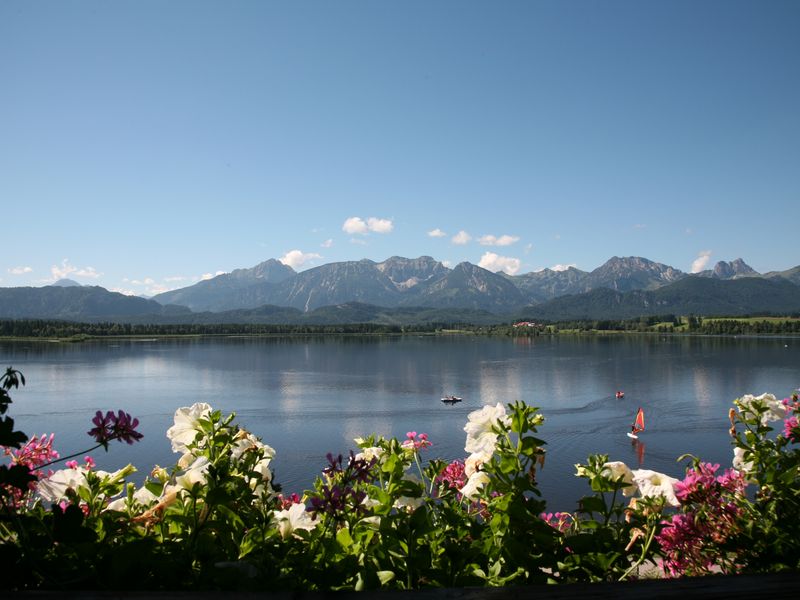 24028140-Ferienwohnung-4-Füssen-800x600-0