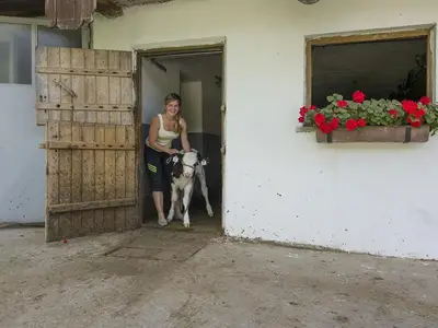 Nachwuchs im Stall am Stoanerhof