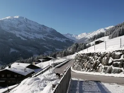 ViewWinter
