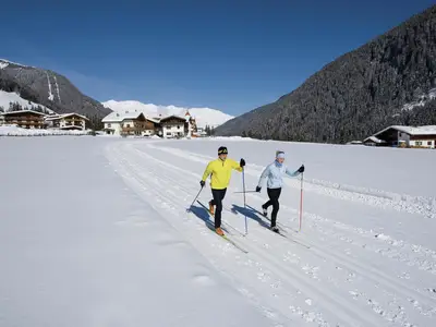 AreaWinter5KM