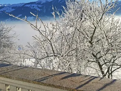 ViewWinter