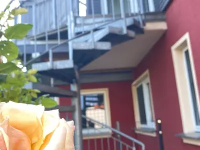 Ferienwohnung für 2 Personen (28 m²) in Fuhlendorf (Nordvorpommern) 3/10