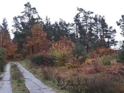 Ferienwohnung für 3 Personen (65 m²) in Fuhlendorf (Nordvorpommern) 1/10