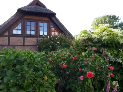 Ferienwohnung für 2 Personen (36 m²) in Fuhlendorf (Nordvorpommern) 1/10