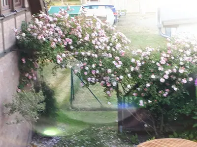 Ferienwohnung für 2 Personen (36 m²) in Fuhlendorf (Nordvorpommern) 9/10