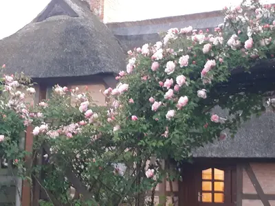 Ferienwohnung für 2 Personen (46 m²) in Fuhlendorf (Nordvorpommern) 4/10