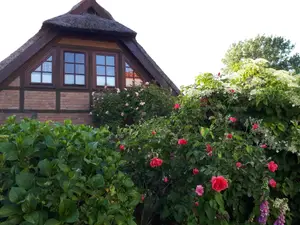 Ferienwohnung für 2 Personen (36 m²) in Fuhlendorf (Nordvorpommern)