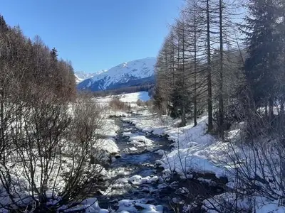 Ferienwohnung für 3 Personen (90 m²) in Fuldera 3/10
