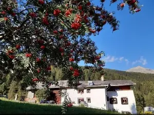 Ferienwohnung für 3 Personen (92 m²) in Fuldera