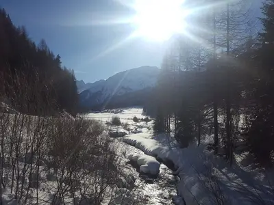 Ferienwohnung für 3 Personen (92 m²) in Fuldera 8/10