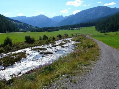 Ferienwohnung für 3 Personen (92 m²) in Fuldera 4/10