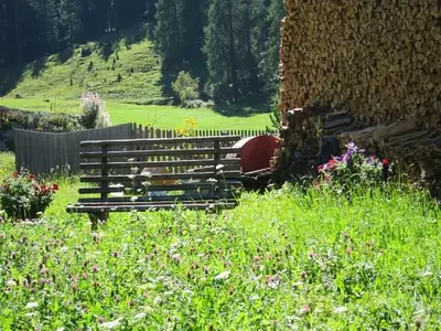 Ferienwohnung für 3 Personen (92 m²) in Fuldera 9/10