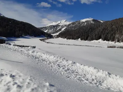 Ferienwohnung für 3 Personen (90 m²) in Fuldera 5/10