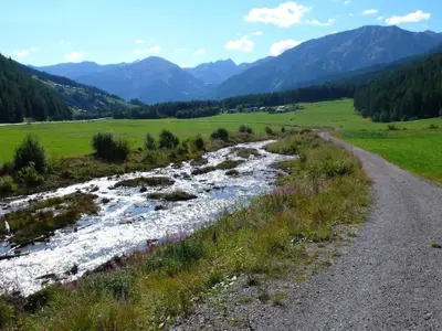 Ferienwohnung für 3 Personen (90 m²) in Fuldera 8/10