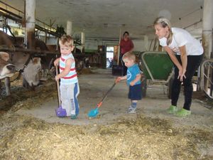 Mithilfe bei der Stallarbeit